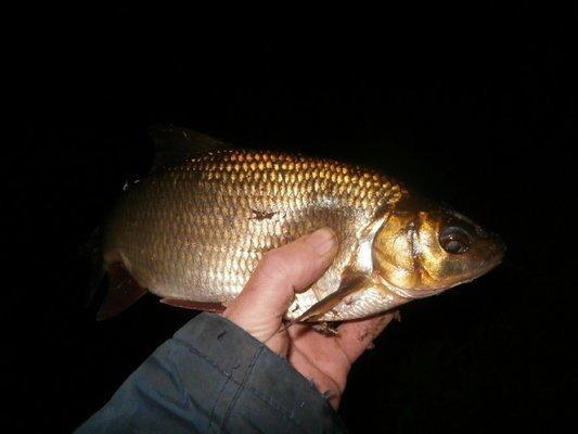 P5070699.thumb.JPG.e51d124dd38c8231eea5f