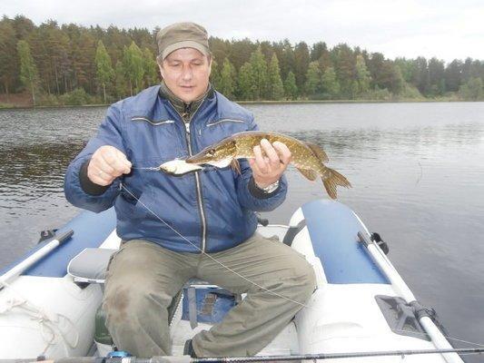 P5090712.thumb.JPG.da05a39411e685596be15