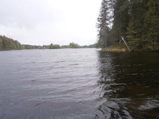 P5090724.thumb.JPG.a3a0ebe7bde02baa8572f