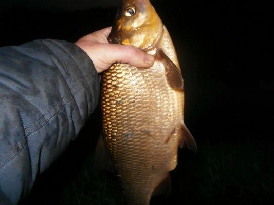 P5120731.thumb.JPG.c6374fbe105ace8126db6