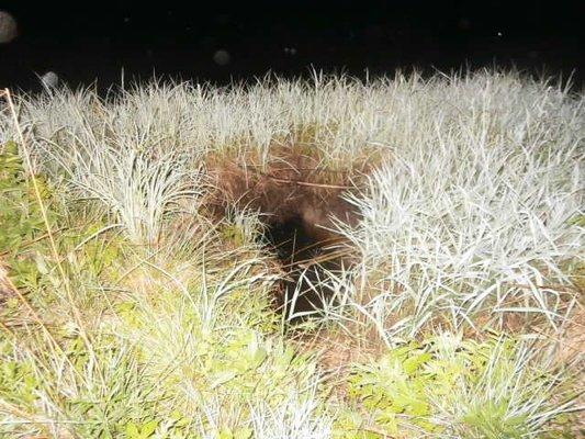 P5120732.thumb.JPG.52fd3524bcecd72934187