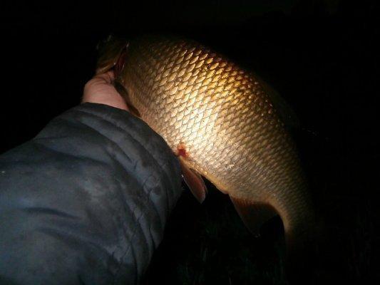 P5120735.thumb.JPG.eb0bd25e28a03c64fccc9