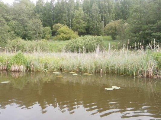 P5170746.thumb.JPG.b421a86a9c41a57523666