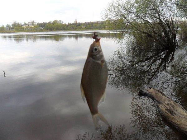 SAM_0793.thumb.JPG.efa5dd3d2399dfe283635