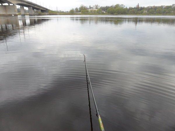 SAM_0794.thumb.JPG.1679f395e1c02e885eb07