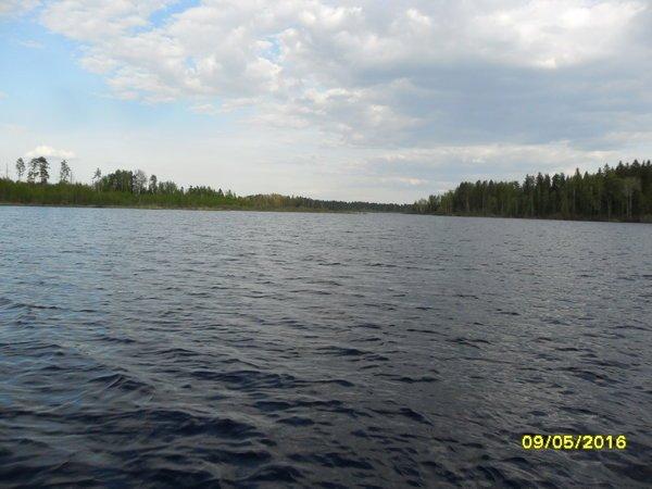 SAM_3397.thumb.JPG.7a200a66825c3c3aad61b