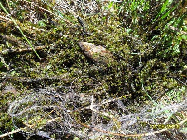 SAM_3405.thumb.JPG.feefb1c3b7622c965a2df