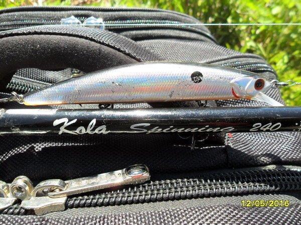 SAM_3413.thumb.JPG.2e1fbaa4619e32d0a9585