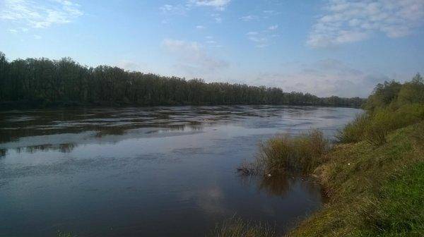 WP_20160501_004.thumb.jpg.c49207c33dcb7b