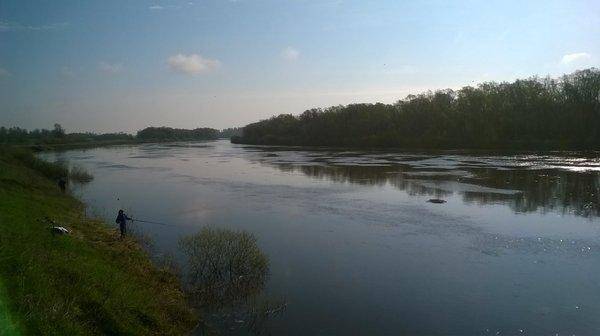 WP_20160501_005.thumb.jpg.f398256063bb02