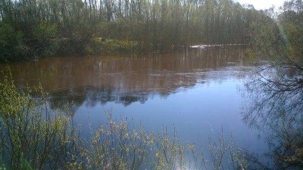 WP_20160501_017.thumb.jpg.acac3d458b345b