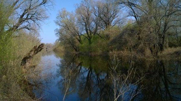 WP_20160501_018.thumb.jpg.d0fddd6315a261