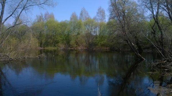 WP_20160501_021.thumb.jpg.a3c1e5dabdedd7