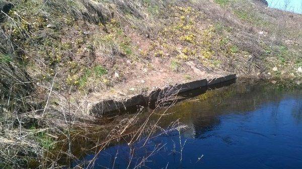 WP_20160501_022.thumb.jpg.ff23cdbfe82bb5