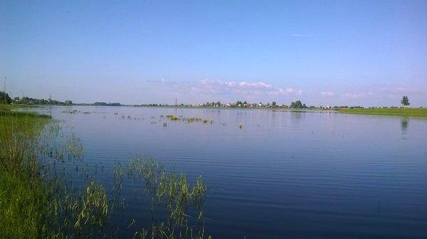 WP_20160529_060.thumb.jpg.1c40672bd6606e