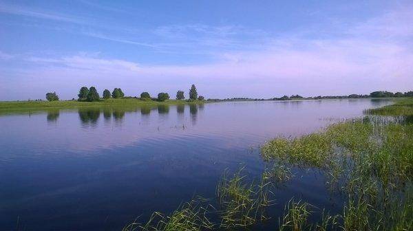 WP_20160529_061.thumb.jpg.4fa21f8238cda8