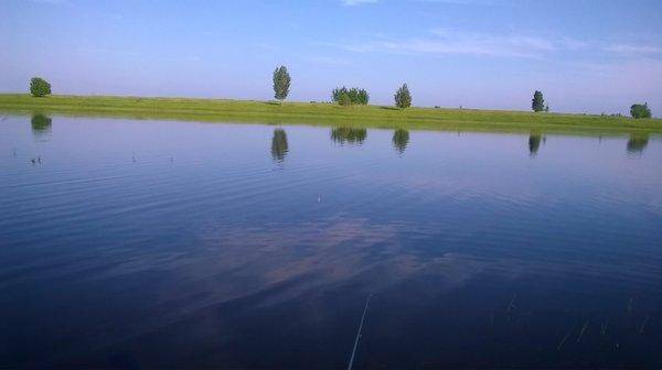 WP_20160529_062.thumb.jpg.0a1d76fed04bc3