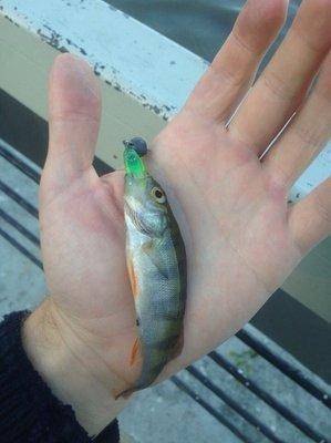 ZG_dIp-_L6c.thumb.jpg.54d03784f5659f320b