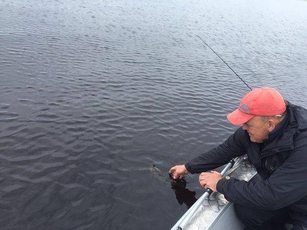 image.thumb.jpg.23578fe214b75887be0a5a60