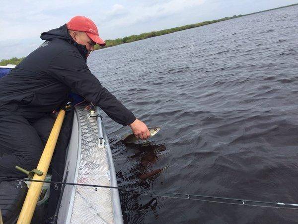 image.thumb.jpg.7f143458ff7ddd32e0ef7609