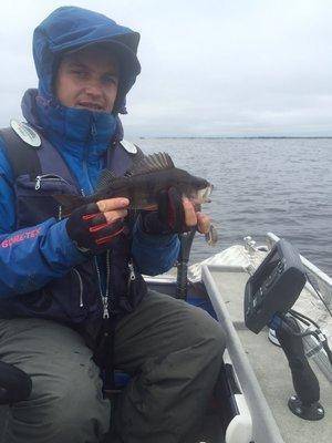 image.thumb.jpg.d816aec37746a1b2f8ded160