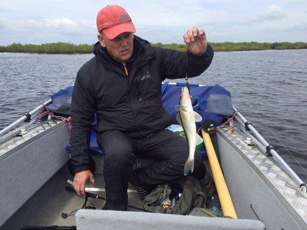 image.thumb.jpg.f8693a32f21fc4f8c4c91428