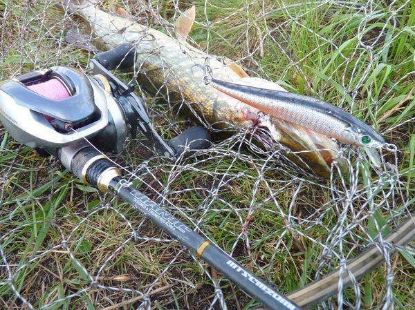 uDmEvjXfU5w.thumb.jpg.73a247b8b2a032328e