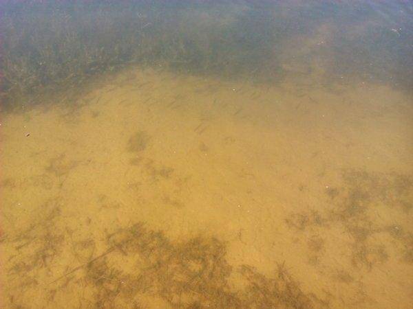 5750047a7b4b6_IMG_20160601_0942441.thumb