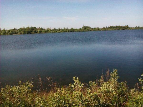 5750048969017_IMG_20160601_1008471.thumb