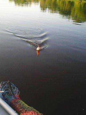 57505d6aeb11f_01.06.2016018.thumb.jpg.2f