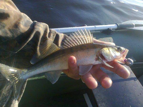 57516be16f5ff_3433.thumb.jpg.22c4ebbb8a8