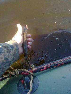 57516bedf1093_3439.thumb.jpg.32baf7e9eff