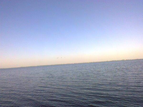 57516d1bde6a9_3437.thumb.jpg.4fd4868b981