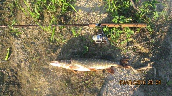 5753e6c1a8049_2016-06-0320-24-08.thumb.J