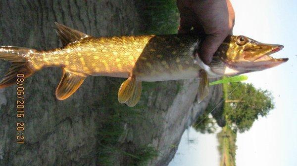 5753ec1766053_2016-06-0320-21-56.thumb.J