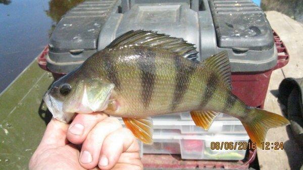 2016-06-08 12-24-35.JPG