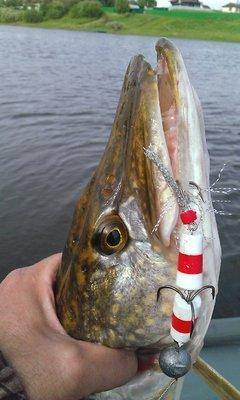 Изображение 149.jpg