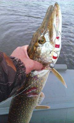 Изображение 150.jpg