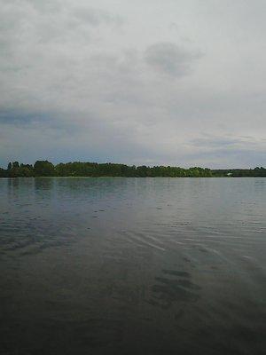 Боровно 11.06.2016 063.jpg