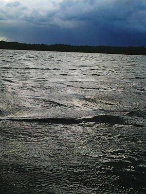 Боровно 11.06.2016 088.jpg