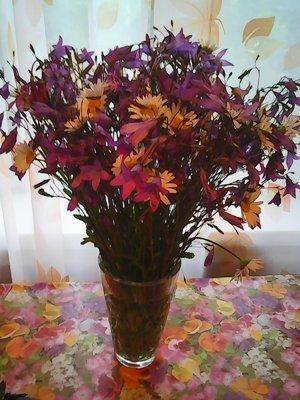 Грибы 12.06.2016 003.jpg