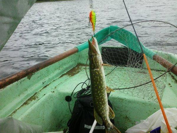 2016-06-10 15.27.25.jpg