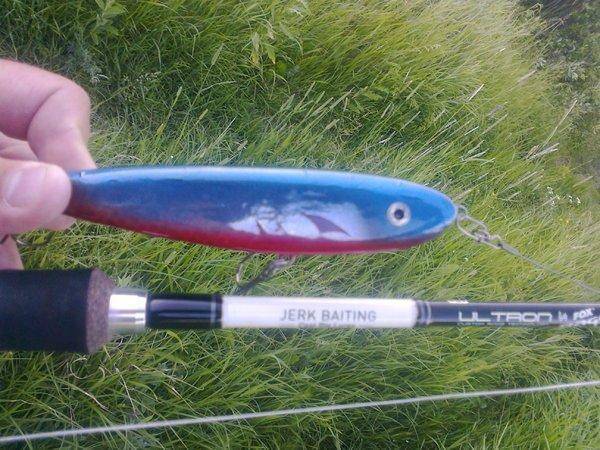 5766fb259f969_3583.thumb.jpg.1d453df68e8