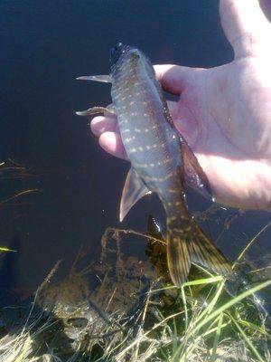 5767df5b41865_3586.thumb.jpg.be2c324626c