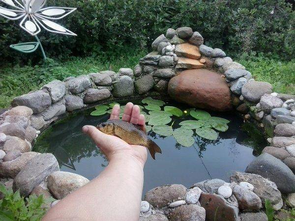 2016-06-19 13.47.06.jpg