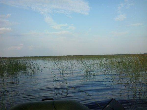 2016-06-23 19.55.24.jpg