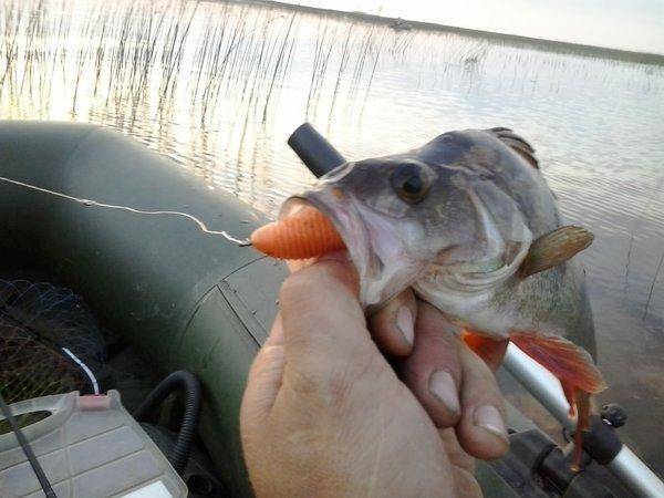 2016-06-23 21.23.29.jpg