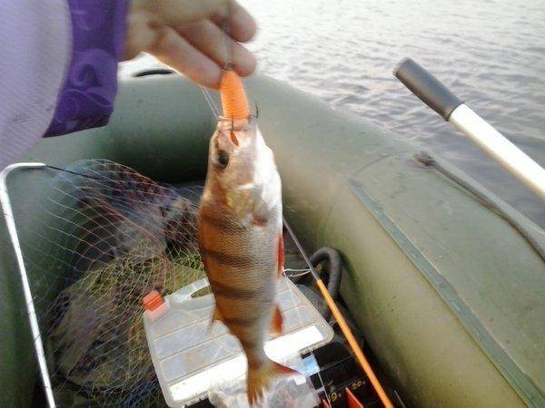 2016-06-23 21.33.43.jpg