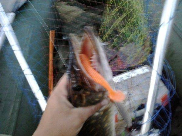 2016-06-23 22.06.52.jpg