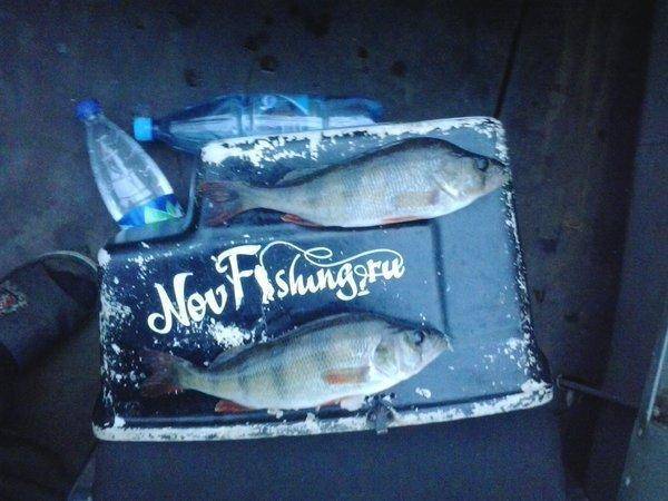 2016-06-25 22.10.57.jpg